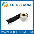 /msite/products/detail/productid/53370825/id/101864.html